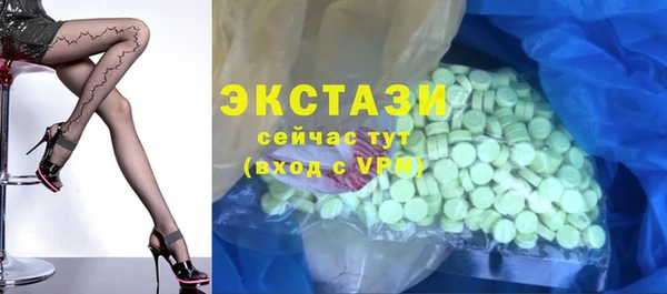 индика Заволжск