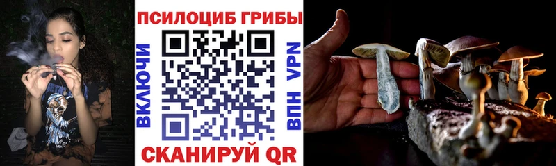 Галлюциногенные грибы Cubensis ссылка на мегу зеркало Новомичуринск